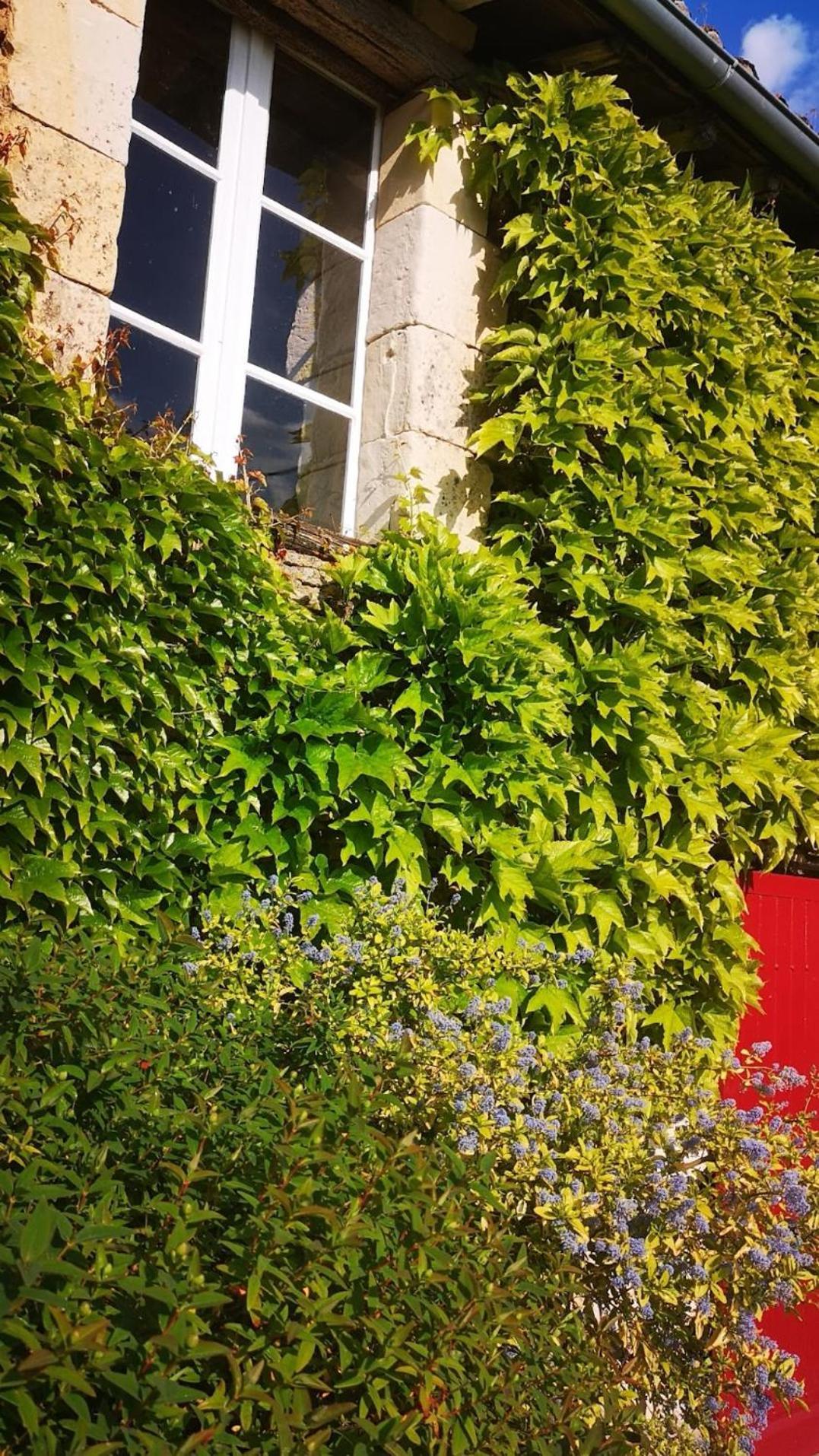 La Ferme Du Grand Bois Mouterre-Silly Exterior foto